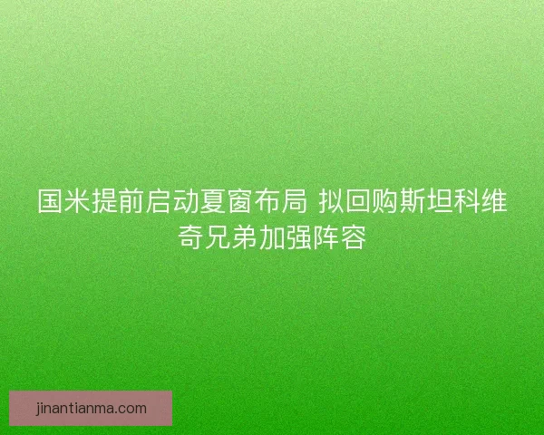 国米提前启动夏窗布局 拟回购斯坦科维奇兄弟加强阵容